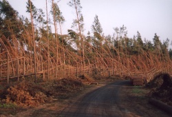 Powiększenie