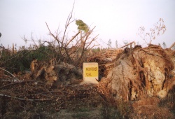 Powiększenie