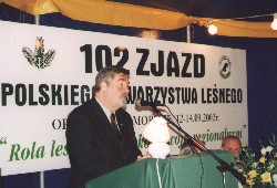 Powikszenie