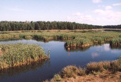 Powikszenie